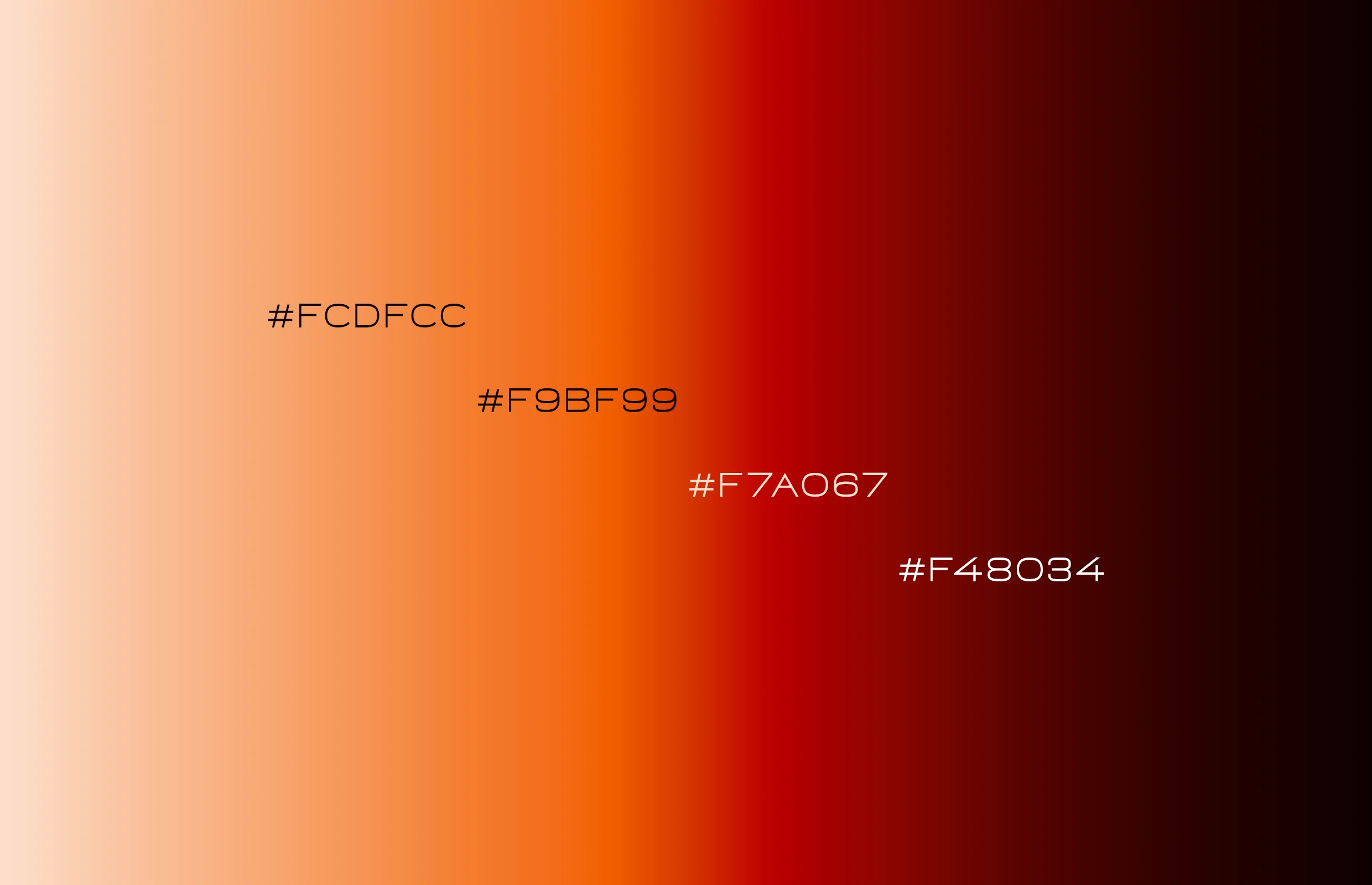 Paleta de colores vibrantes de F48 Motion Design con tonos cálidos y energéticos.